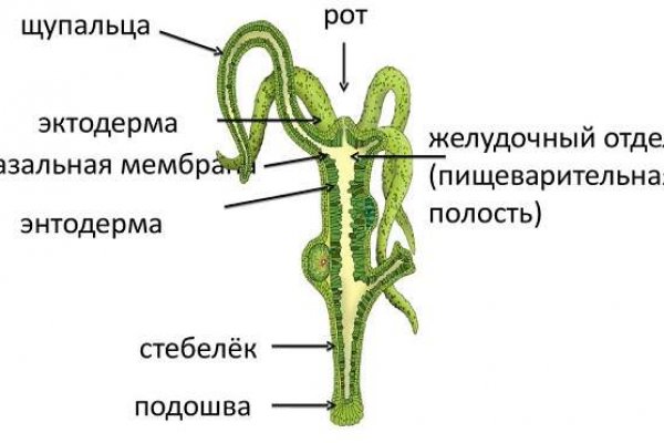 Маркетплейс кракен купить