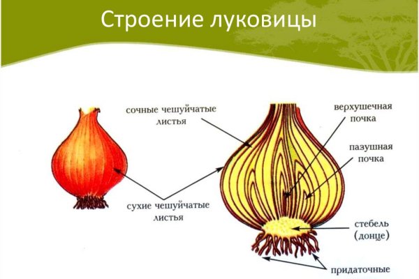 Кракен 2krnk cc