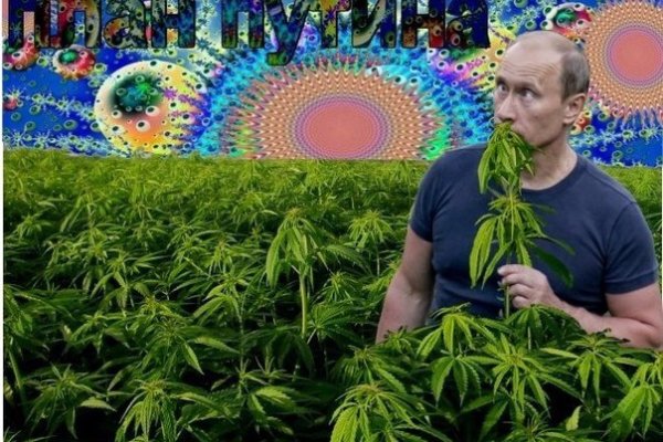Кракен современный маркетплейс